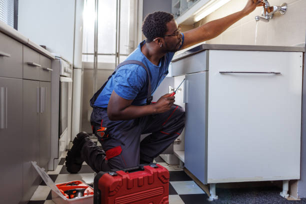 Best Emergency Plumber  in Brookings, SD